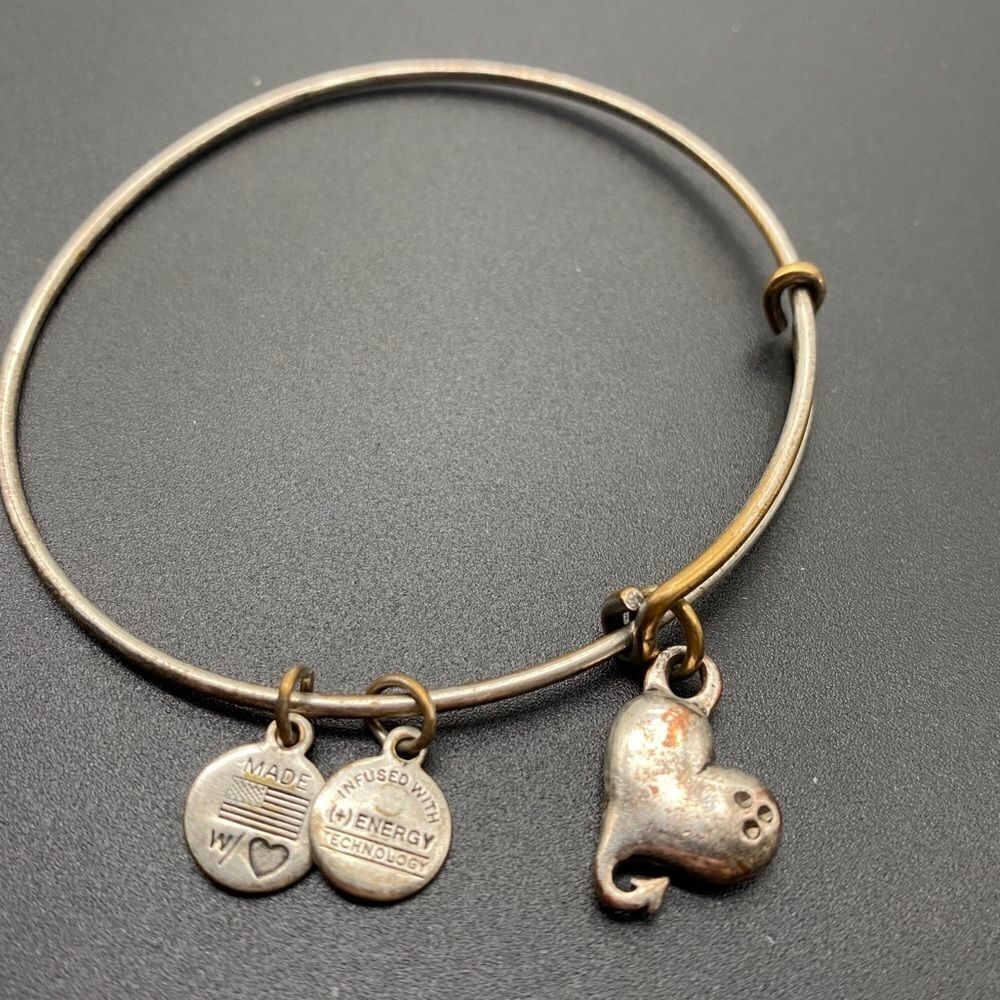 ‎Alex and Ani Heart With Crystal Bracelet